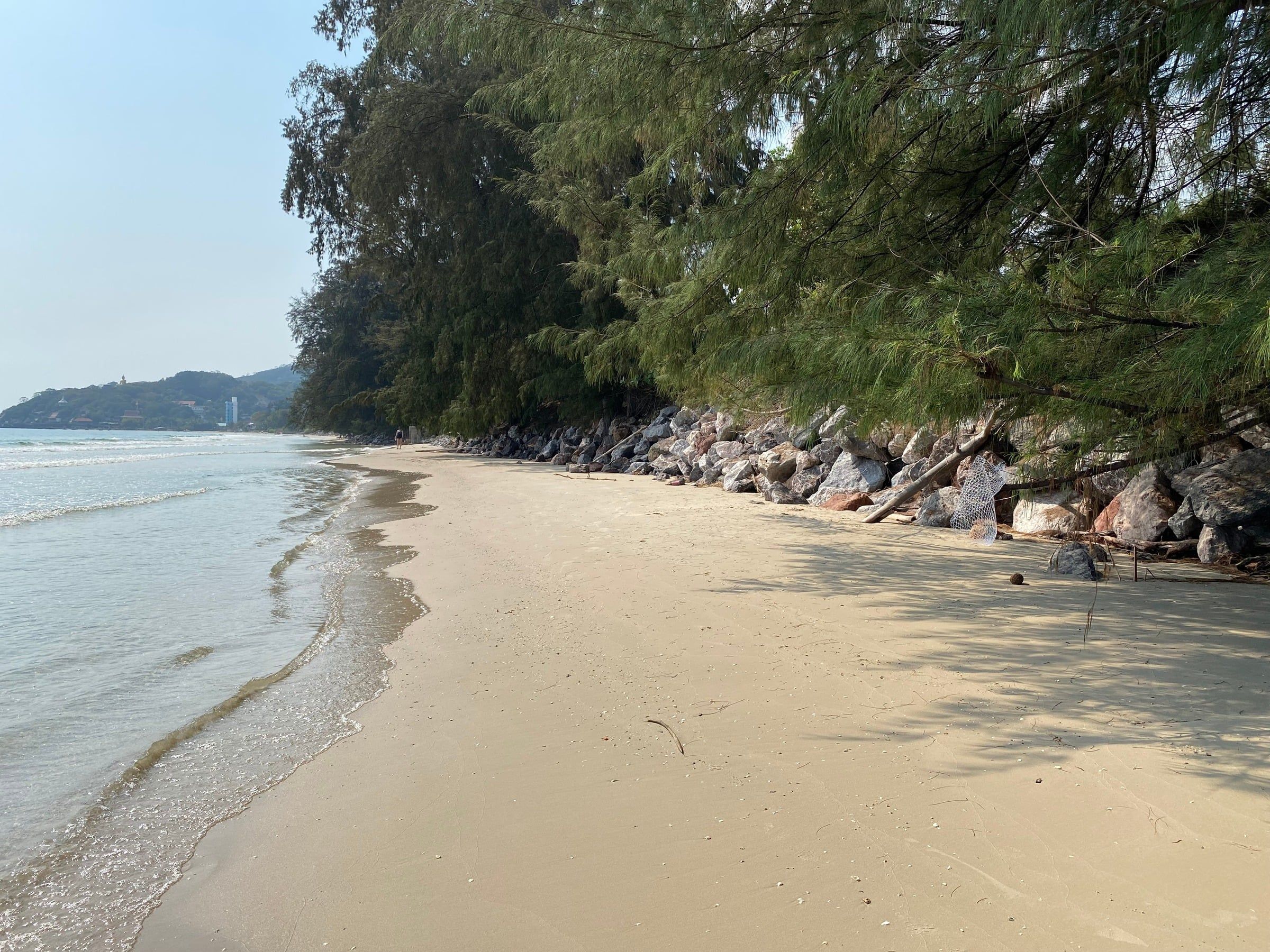 Quiet sandy beach lined with pine trees and rocks near Khao Tao