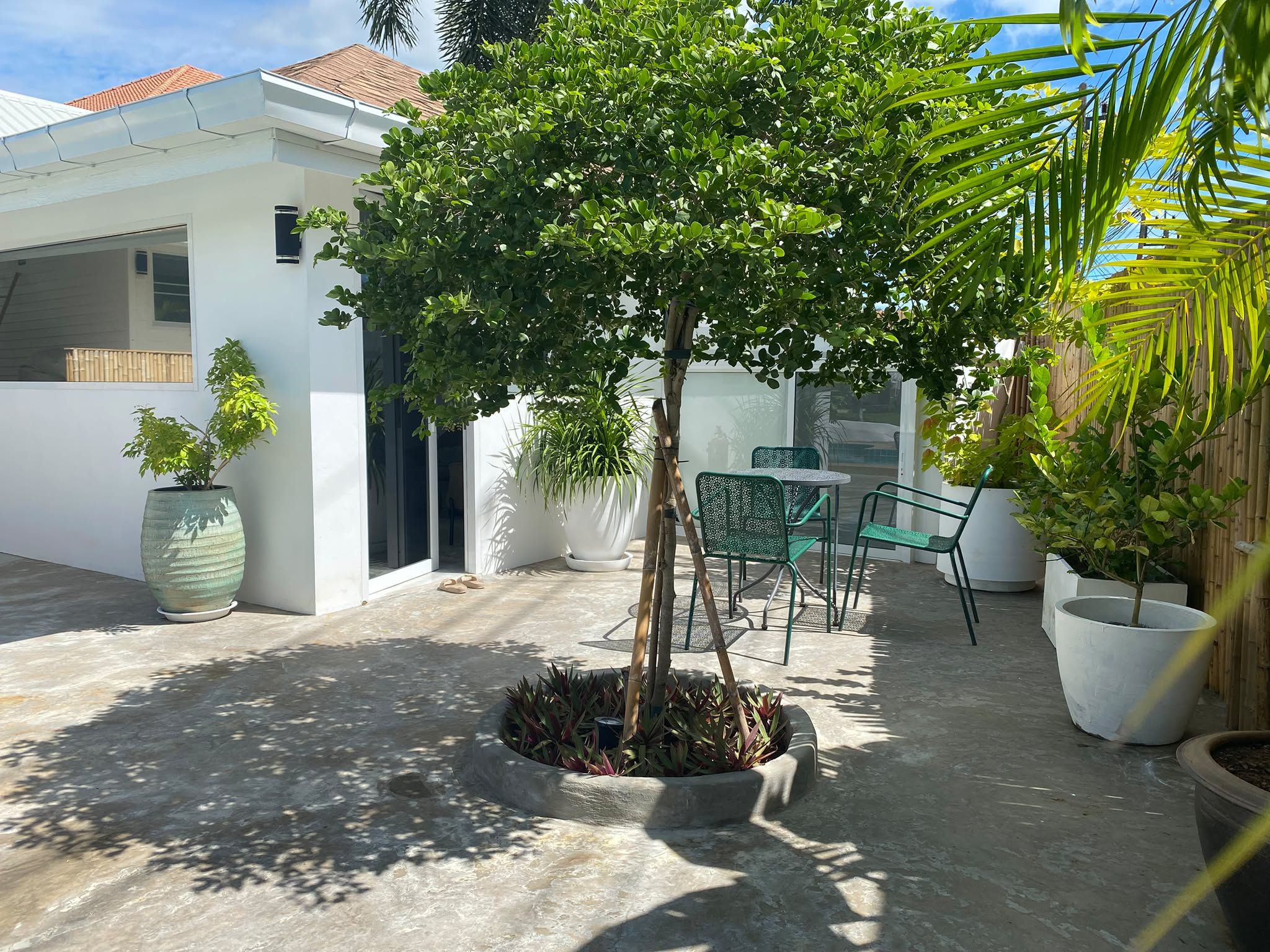 Shaded courtyard terrace with a green tree, potted plants and bistro chairs beside a bungalow at The White Room