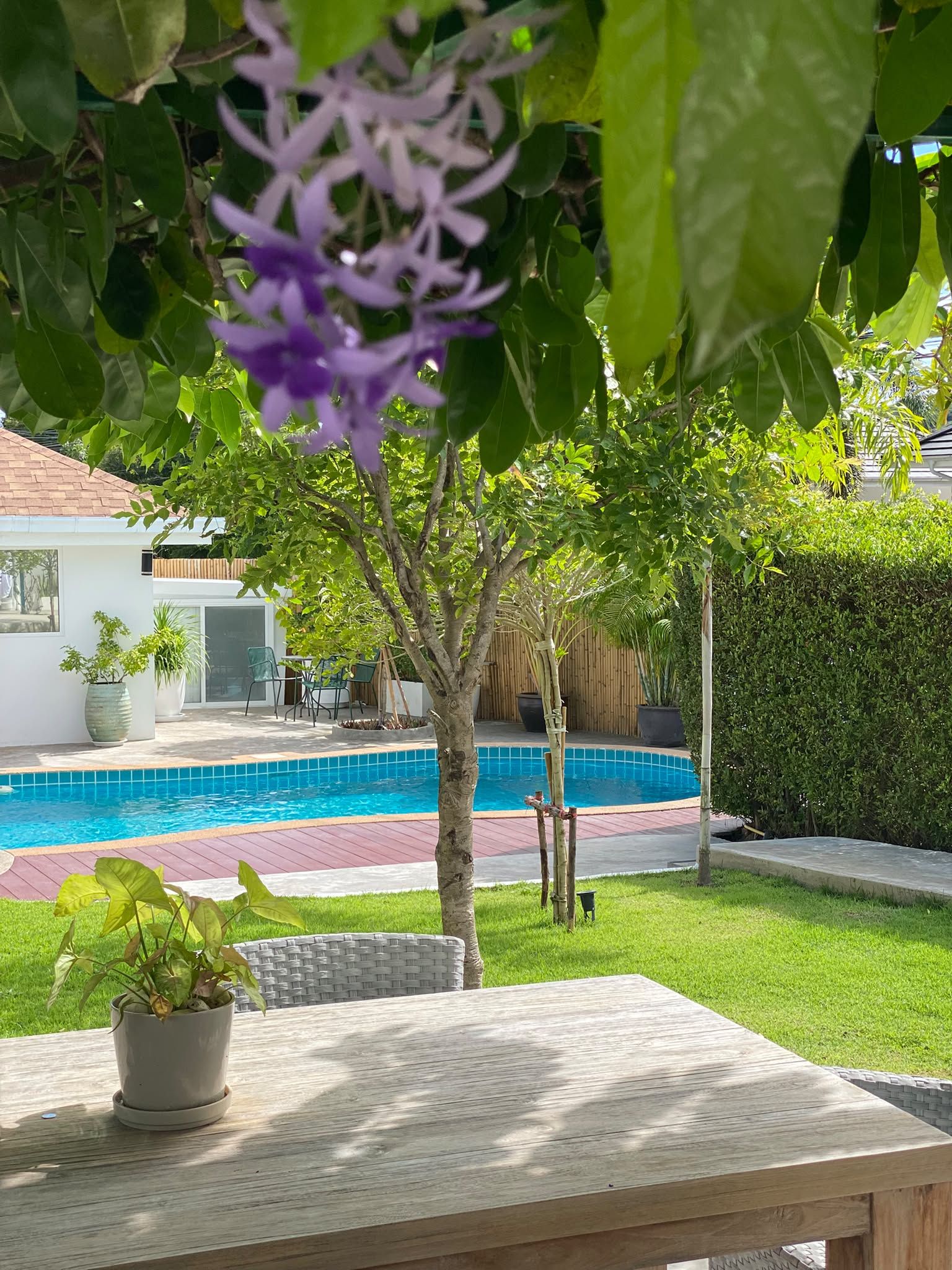 The pool framed by purple petrea flowers in the garden at The White Room